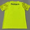 Palmeiras 2026/27 Green Training Shirt - Back View | KFCOOL