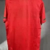Portugal 2010/11 Retro Home Jersey Player Version - Back View Portugal 2010/11 Retro Home Jersey Player Version - Back View | KFCOOL