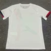 PSG 2024/25 Away Jersey Fan Version - Detail View 3 | KFCOOL
