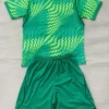 PSG 2026/27 Goalkeeper Green Kids Kit Fan Version - Back View PSG 2026/27 Goalkeeper Green Kids Kit Fan Version - Back View | KFCOOL