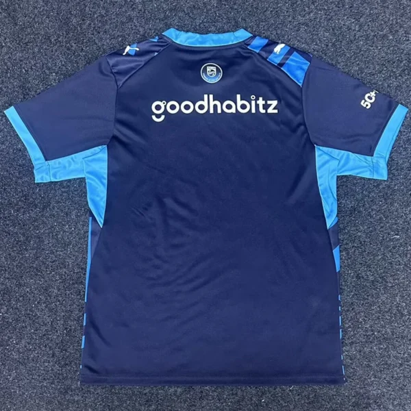 PSV Eindhoven 2026/27 Third Jersey Fan Version - Back View PSV Eindhoven 2026/27 Third Jersey Fan Version - Back View | KFCOOL