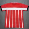 PSV Eindhoven 1995/96 Retro Home Red Jersey Fan Version - Back View PSV Eindhoven 1995/96 Retro Home Red Jersey Fan Version - Back View | KFCOOL