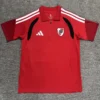 River Plate 2026/27 Polo Shirt - Front View River Plate 2026/27 Polo Shirt - Front View | KFCOOL