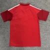 River Plate 2026/27 Polo Shirt - Back View River Plate 2026/27 Polo Shirt - Back View | KFCOOL