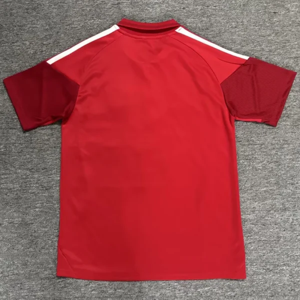 River Plate 2026/27 Polo Shirt - Back View River Plate 2026/27 Polo Shirt - Back View | KFCOOL