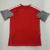 Internacional 2026/27 Training Shirt - Back View | KFCOOL