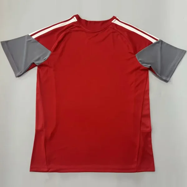 Internacional 2026/27 Training Shirt - Back View | KFCOOL