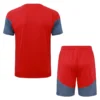 Internacional 2026/27 Training Short Suit - Back View | KFCOOL