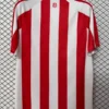 Sunderland 2026/27 Home Jersey Fan Version - Back View | KFCOOL
