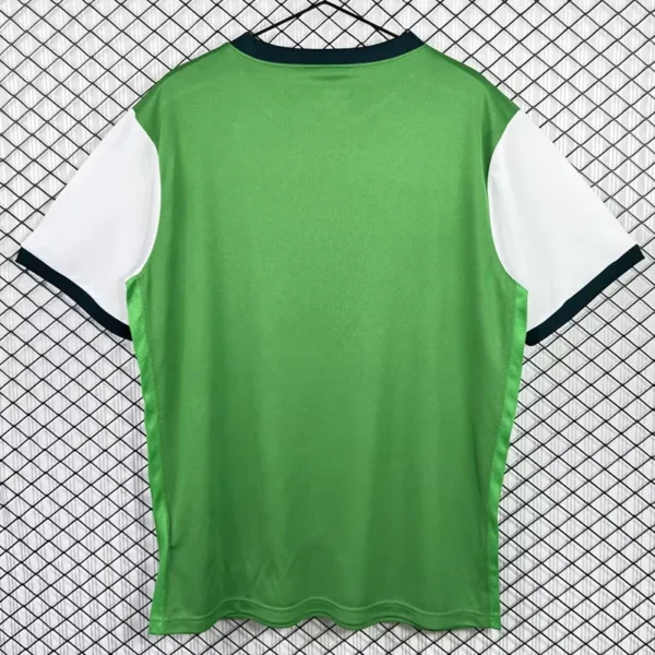 Werder Bremen 2009/10 Retro Home Jersey Fan Version - Back View | KFCOOL