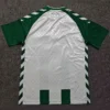 Werder Bremen 2026/27 Home Jersey Fan Version - Back View Werder Bremen 2026/27 Home Jersey Fan Version - Back View | KFCOOL