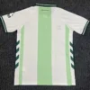 Werder Bremen 2026/27 Jersey Fan Version - Back View Werder Bremen 2026/27 Jersey Fan Version - Back View | KFCOOL