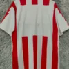 Club Tijuana 1994/95 Retro Home Jersey Fan Version - Back View | KFCOOL