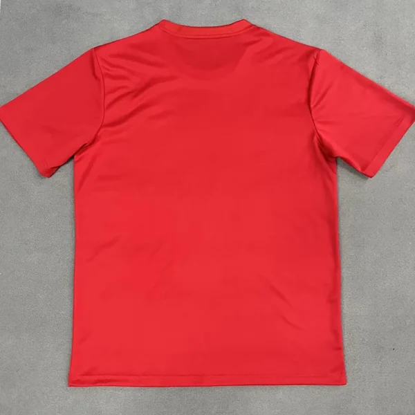 Toluca 2025/26 Training Shirt - Back View | KFCOOL