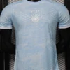 Uruguay 2026/27 Special Edition Jersey Player Version - Front View | KFCOOL