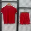 Wales 2026/27 Home Kids Kit Fan Version - Back View Wales 2026/27 Home Kids Kit Fan Version - Back View | KFCOOL