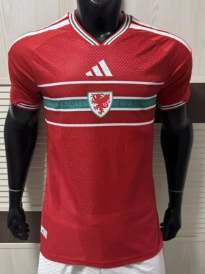 Wales 2026/27 Home Jersey Player Version - Front View | KFCOOL