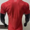 Wales 2026/27 Home Jersey Player Version - Back View | KFCOOL