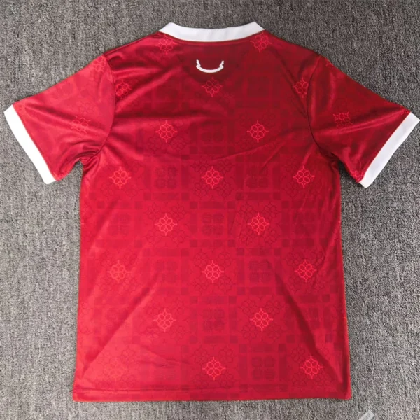 Wales 2026/27 Jersey Fan Version - Back View | KFCOOL