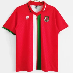 Wales 1996/98 Retro Home Jersey Fan Version - Front View Wales 1996/98 Retro Home Jersey Fan Version - Front View | KFCOOL
