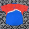 South Korea 2026/27 Red Blue Training Shirt - Back View South Korea 2026/27 Red Blue Training Shirt - Back View | KFCOOL
