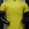 Mali 2026/27 Away Jersey Player Version - Back View Mali 2026/27 Away Jersey Player Version - Back View | KFCOOL