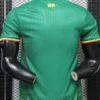 Mali 2026/27 Green Jersey Player Version - Back View Mali 2026/27 Green Jersey Player Version - Back View | KFCOOL