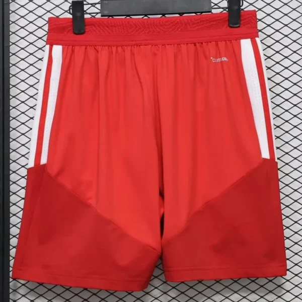 River Plate 2026/27 Red Shorts Player Version - Back View River Plate 2026/27 Red Shorts Player Version - Back View | KFCOOL